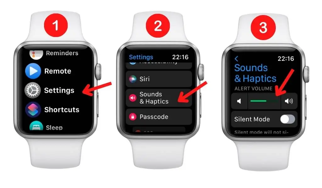 Apple Watch change volume